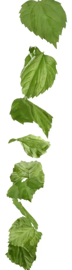 Guirlande Artificielle De Feuilles De Bouleau 160 Cm-DecoWoerner Best
