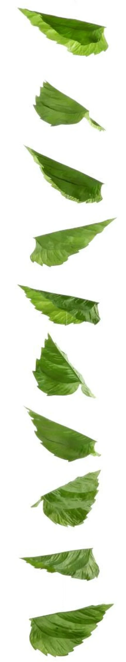 Guirlande Artificielle De Feuilles De Bouleau 160 Cm-DecoWoerner Best