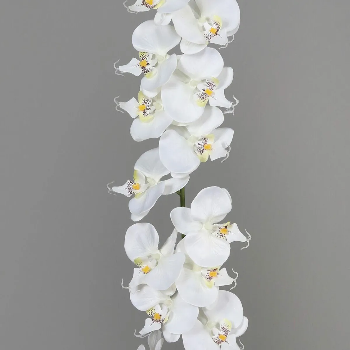 Guirlande D'orchidées Artificielles hes 175 Cm-DecoWoerner