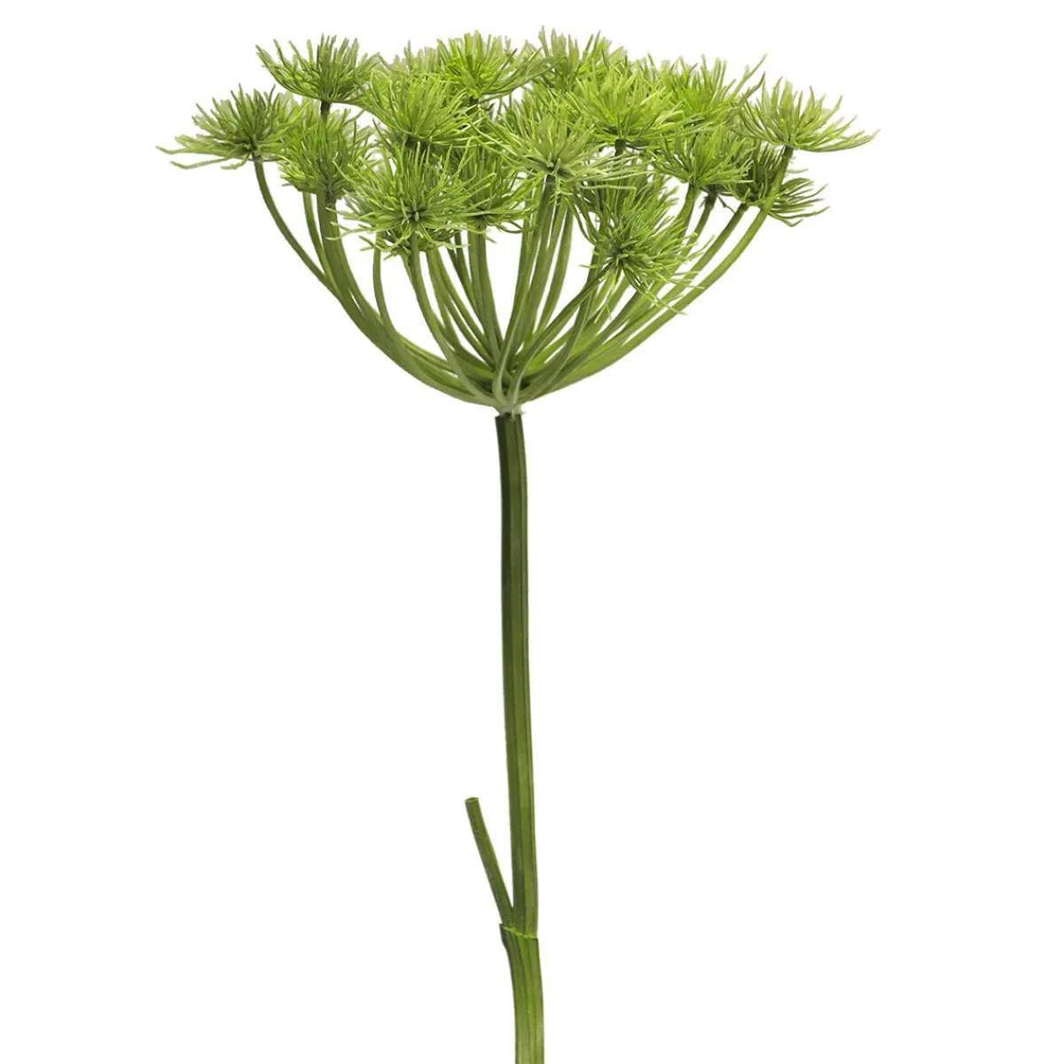 Heracleum Berce Géante Plante Artificielle 98 Cm-DecoWoerner New
