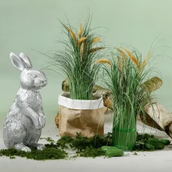 Herbe Déco à Fleurs De Roseau, 50 Cm-DecoWoerner