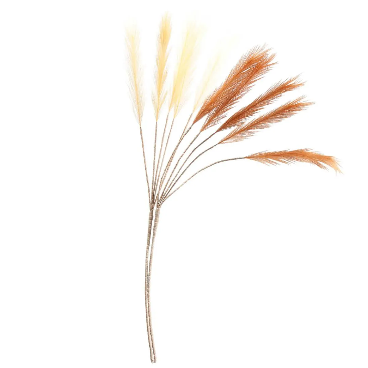 Herbe De La Pampa Artificielle, Long. 115 Cm, 2 Pces-DecoWoerner Discount