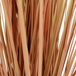 Herbe De La Pampa Décorative Teintée Dans Un Pot Noir 117 Cm-DecoWoerner