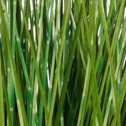 Herbe Du Tigre Décorative XXL En Pot Blanc 120 Cm-DecoWoerner Best