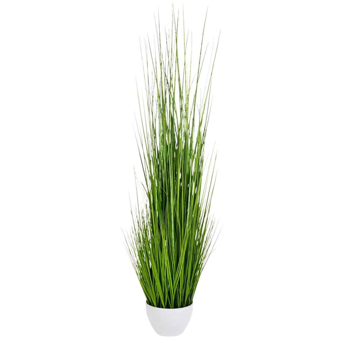 Herbe Du Tigre Décorative XXL En Pot Blanc 150 Cm-DecoWoerner Clearance
