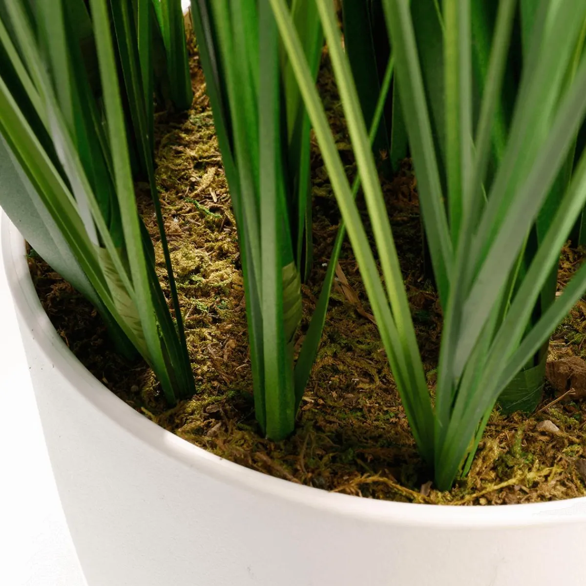 Herbe Du Tigre Décorative XXL En Pot Blanc 150 Cm-DecoWoerner Clearance