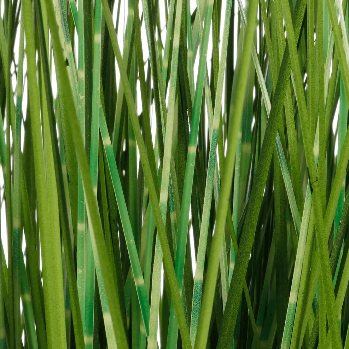 Herbe Du Tigre Décorative XXL En Pot Blanc 150 Cm-DecoWoerner Clearance