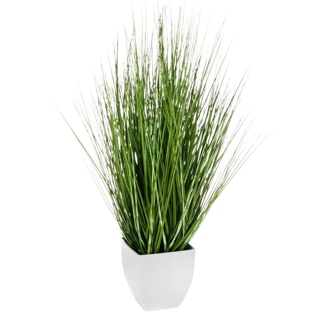 Herbe Zébrée Décorative En Pot Blanc 78 Cm-DecoWoerner New