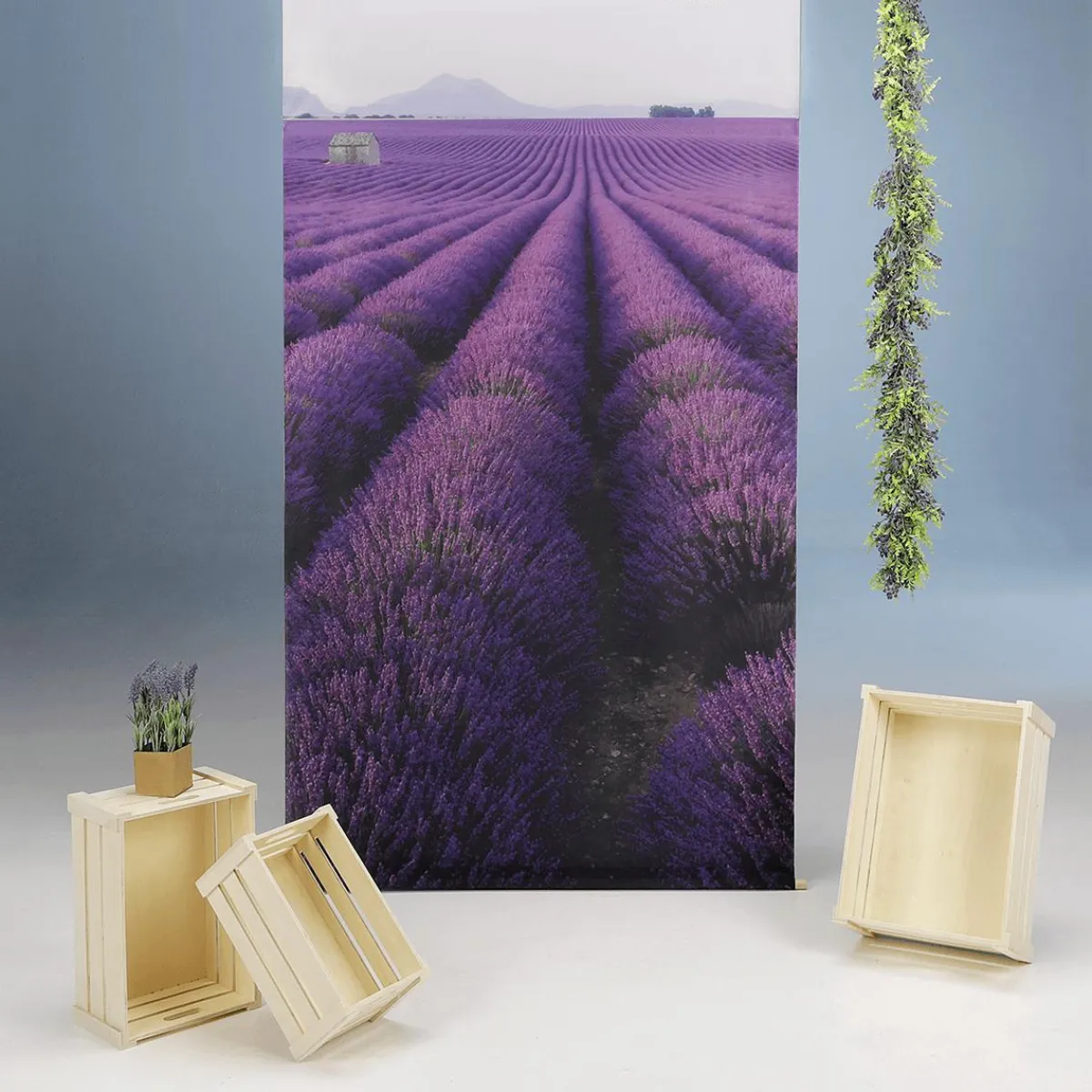 Kit De Décoration Lavande économique Provence-DecoWoerner Best