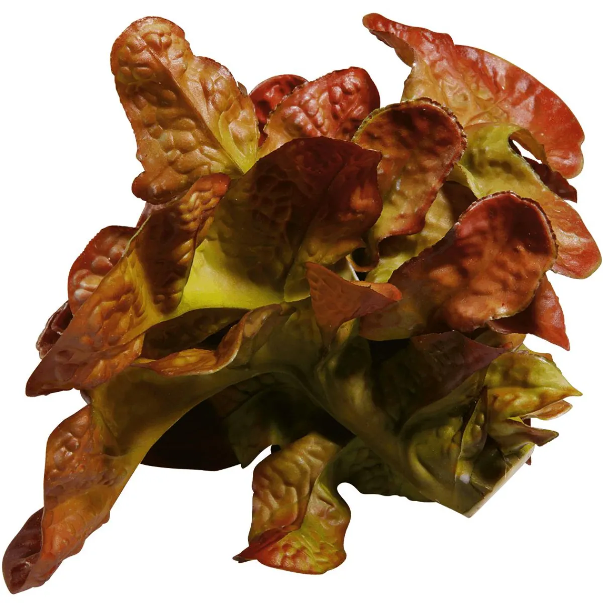 Laitue Feuille De Chêne Aliment Factice, Ø 23 Cm-DecoWoerner New
