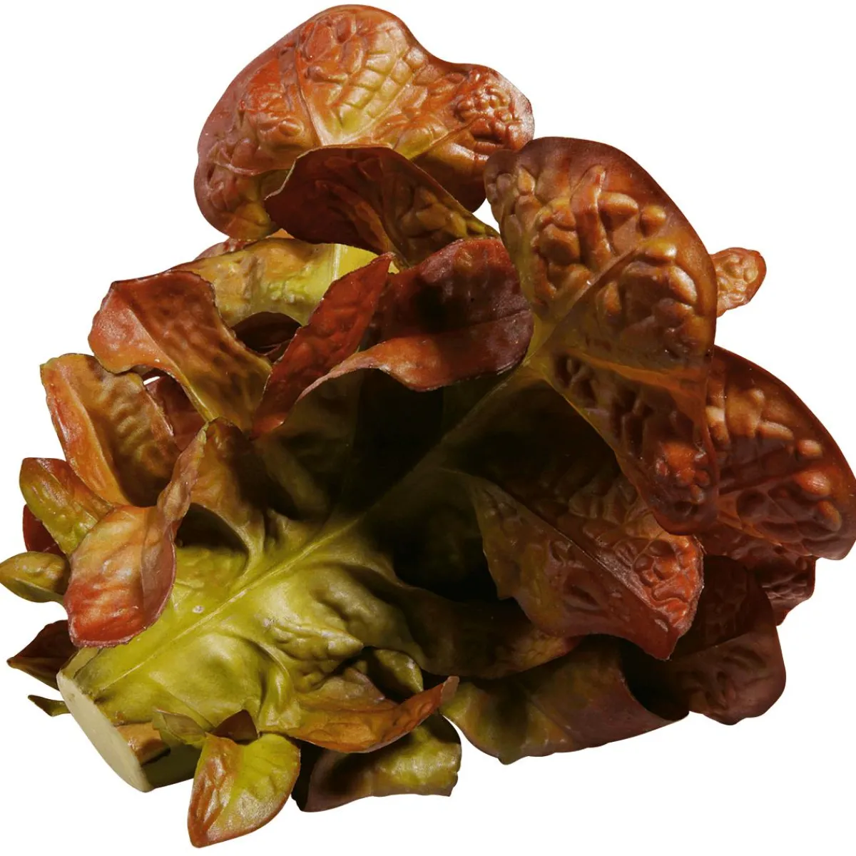 Laitue Feuille De Chêne Aliment Factice, Ø 23 Cm-DecoWoerner New