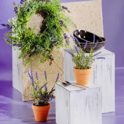 Lavande Déco En Pot, 23 Cm-DecoWoerner Discount