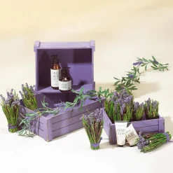 Lot De Caisses En Bois, Mauves-DecoWoerner Online