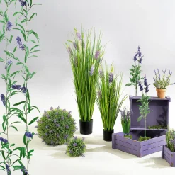 Lot De Caisses En Bois, Mauves-DecoWoerner Online