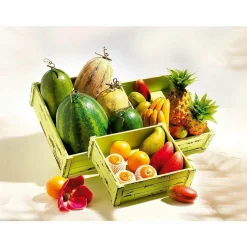 Mangue Zillate Aliment Factice-DecoWoerner Sale