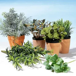 Menthe Déco Dans Un Pot D’argile 20 Cm-DecoWoerner Online