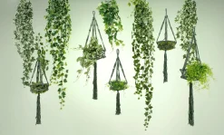 Mini Branche De Lierre 58cm Long Pack De 2-DecoWoerner Online