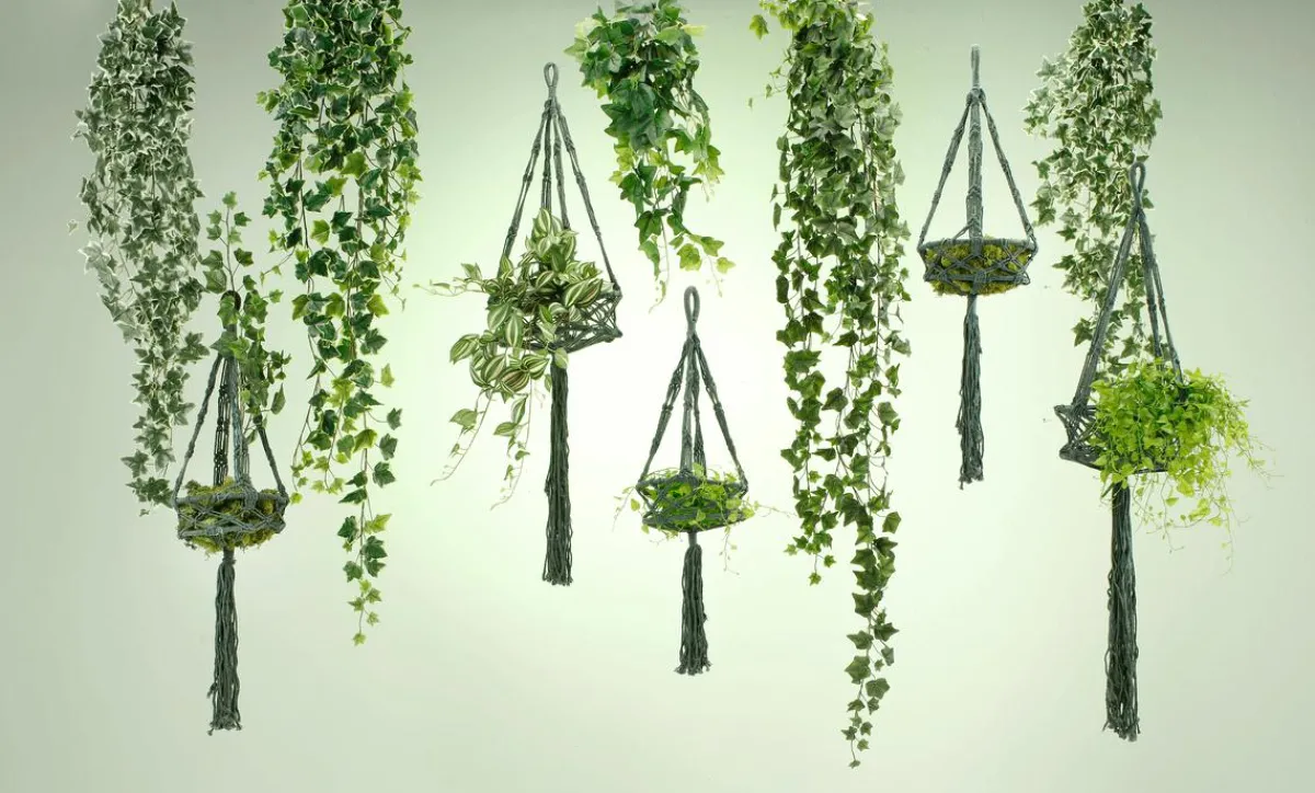 Mini Branche De Lierre 58cm Long Pack De 2-DecoWoerner Online