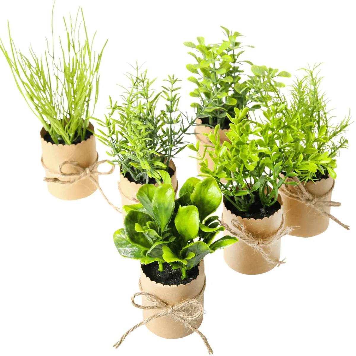 Mini Herbes En Pot 6 Pièces 15 Cm-DecoWoerner Best