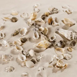 Mélange De Coquillages Et D'escargots Décoration Maritime En Poudre 2000 G-DecoWoerner Best