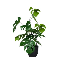 Monstera En Pot Noir-DecoWoerner New