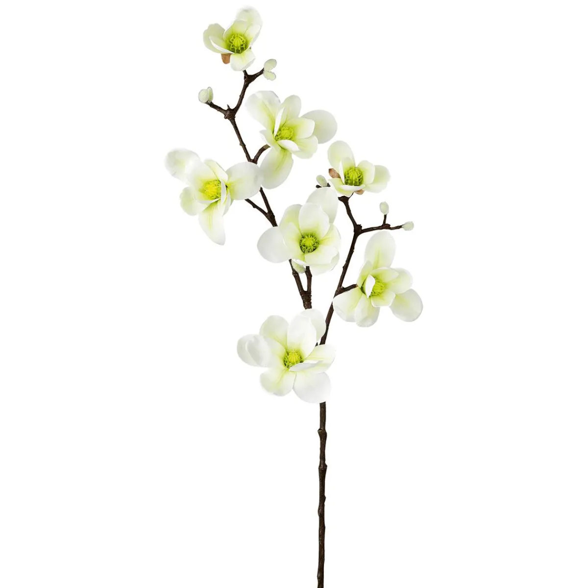 Noble Branche De Magnolia Artificielle, o Verde, 100 Cm-DecoWoerner Hot