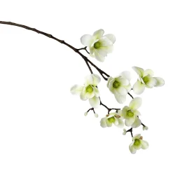 Noble Branche De Magnolia Artificielle, o Verde, 100 Cm-DecoWoerner Hot