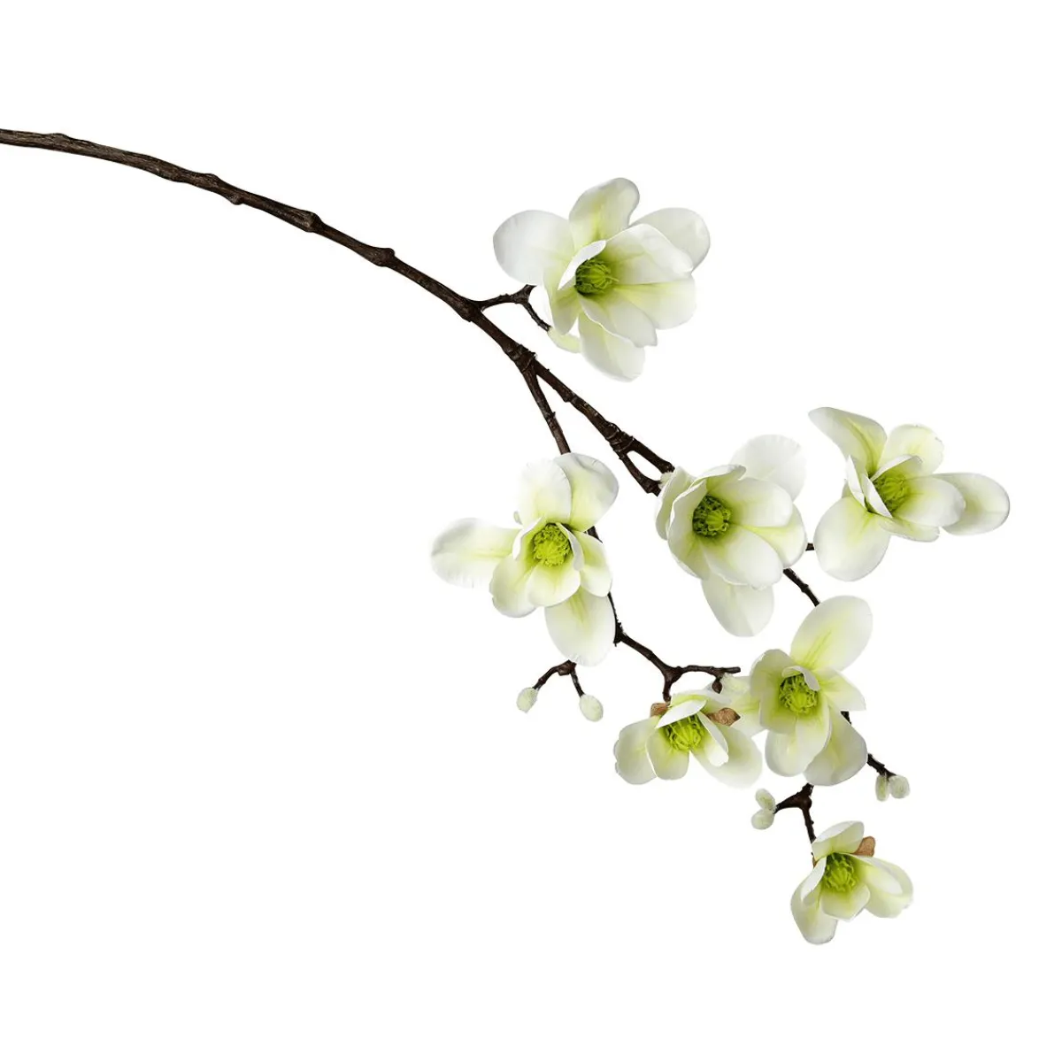 Noble Branche De Magnolia Artificielle, o Verde, 100 Cm-DecoWoerner Hot