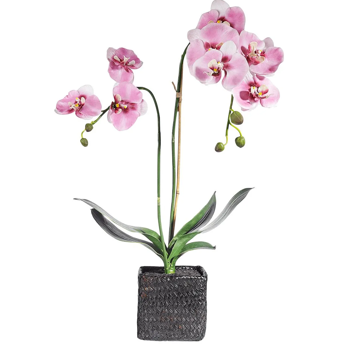 Orchidée Décorative En Pot 80 Cm-DecoWoerner Best