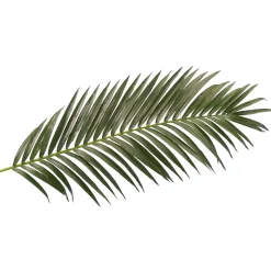 Palme De Palmier Géant Déco, Long. 180 Cm-DecoWoerner Discount