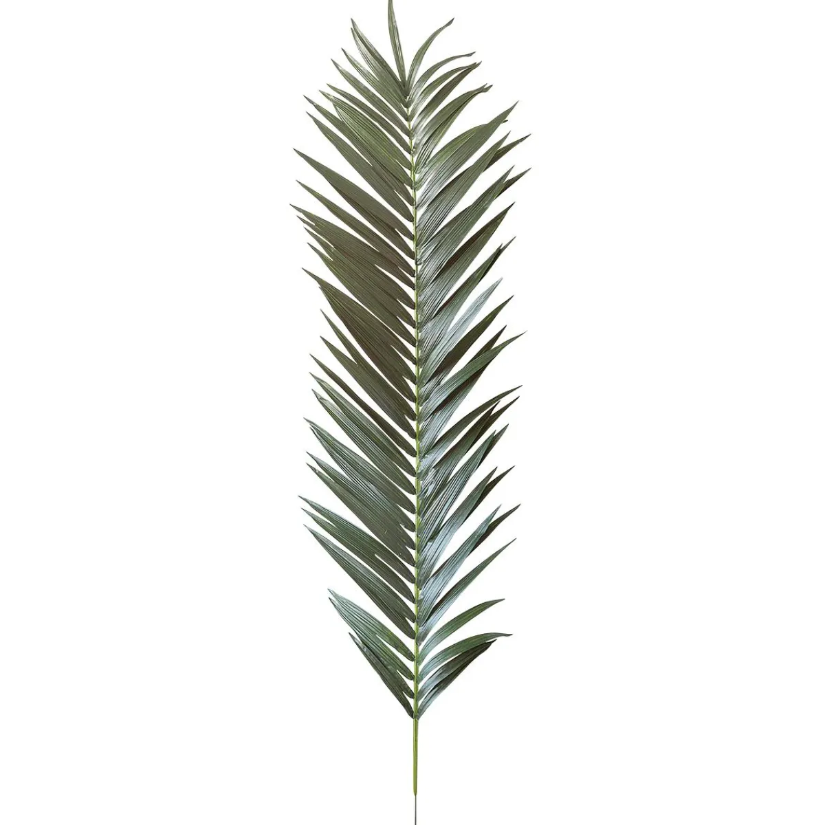 Palme De Palmier Géant Déco, 240 Cm-DecoWoerner Best