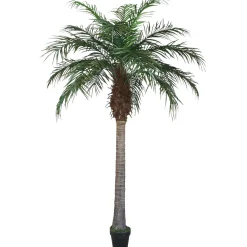 Palmier Phœnix Artificiel 180 Cm-DecoWoerner Hot