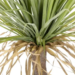 Palmier Yucca Artificiel "sauvage" En Pot 110 Cm-DecoWoerner
