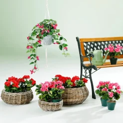 Panier à Plantes En Rotin-DecoWoerner