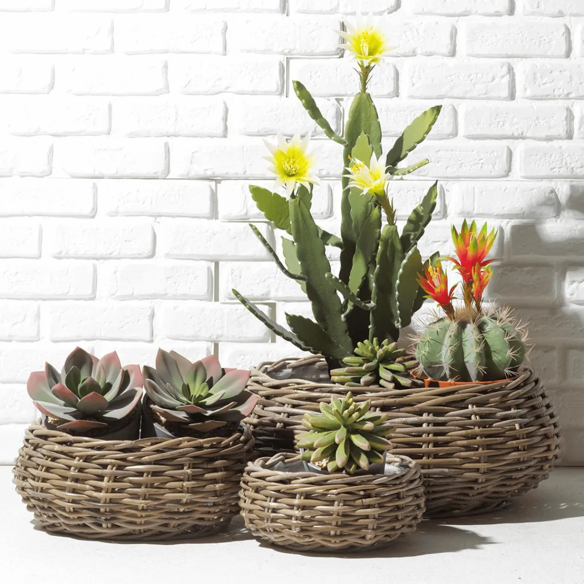 Panier à Plantes En Rotin-DecoWoerner