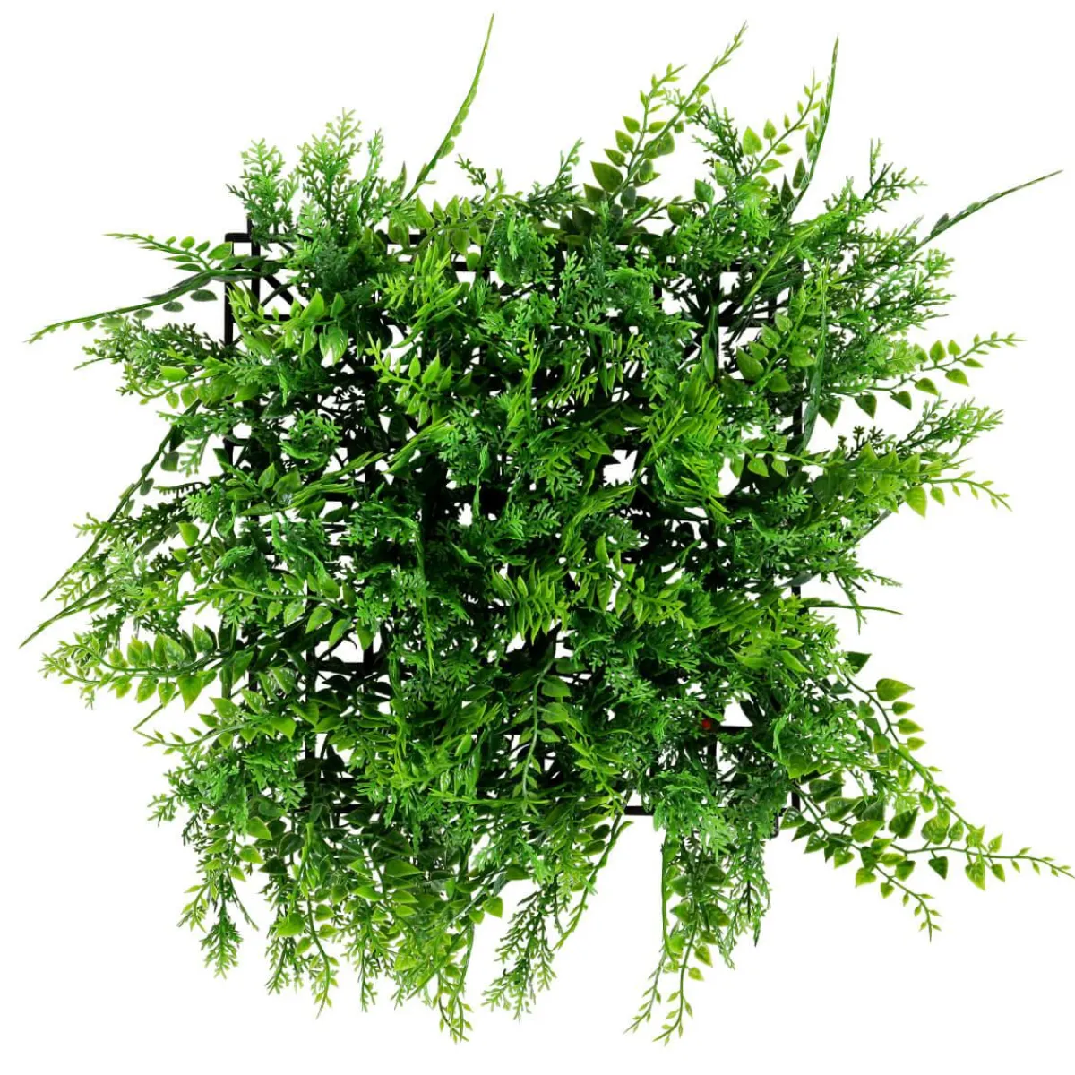 Panneau D'eucalyptus-fougère Artificiel De Qualité Supérieure, 25 X 25 Cm-DecoWoerner Hot