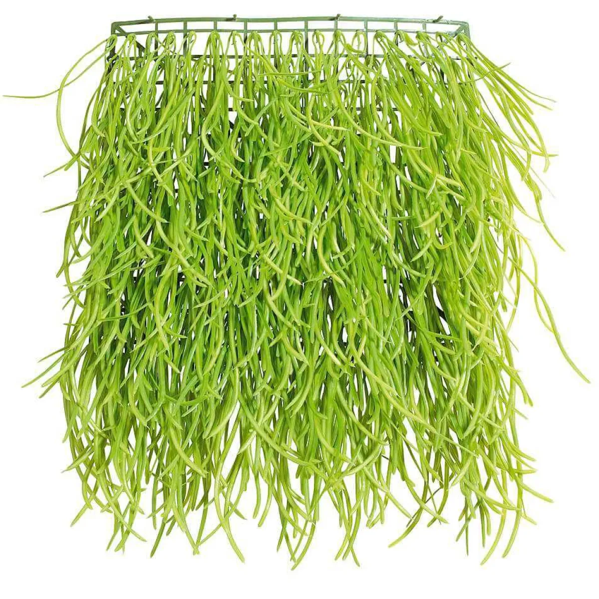 Panneau D'herbe Artificielle 30 X 30 Cm-DecoWoerner Online