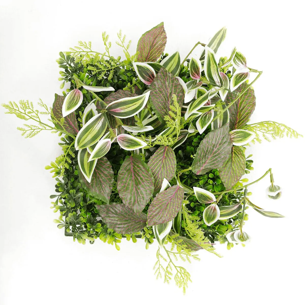 Panneau En Buisson De Fittonia Artificiel 25 X 25 Cm-DecoWoerner Online