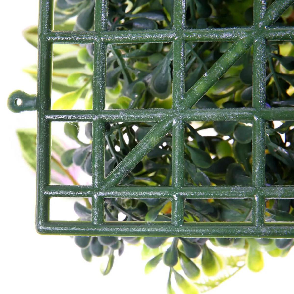 Panneau En Buisson De Fittonia Artificiel 25 X 25 Cm-DecoWoerner Online