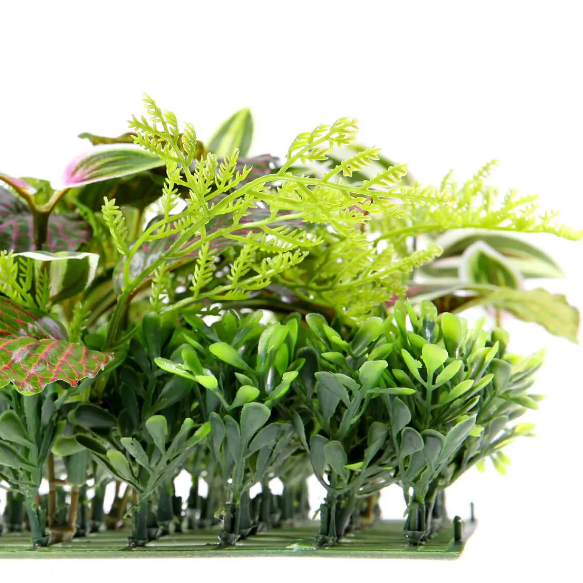 Panneau En Buisson De Fittonia Artificiel 25 X 25 Cm-DecoWoerner Online