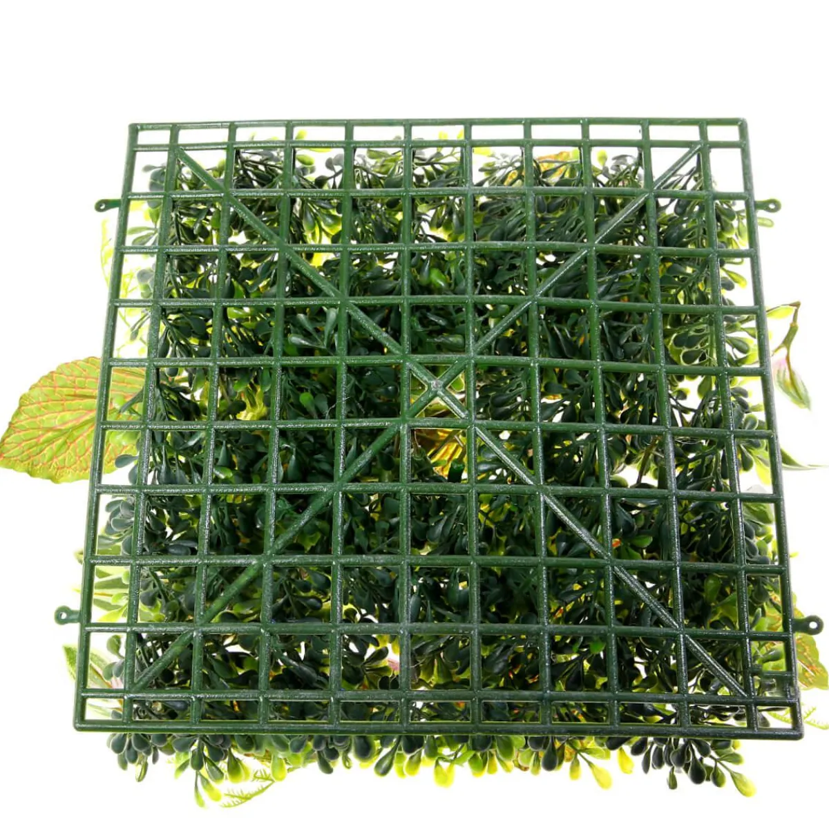 Panneau En Buisson De Fittonia Artificiel 25 X 25 Cm-DecoWoerner Online