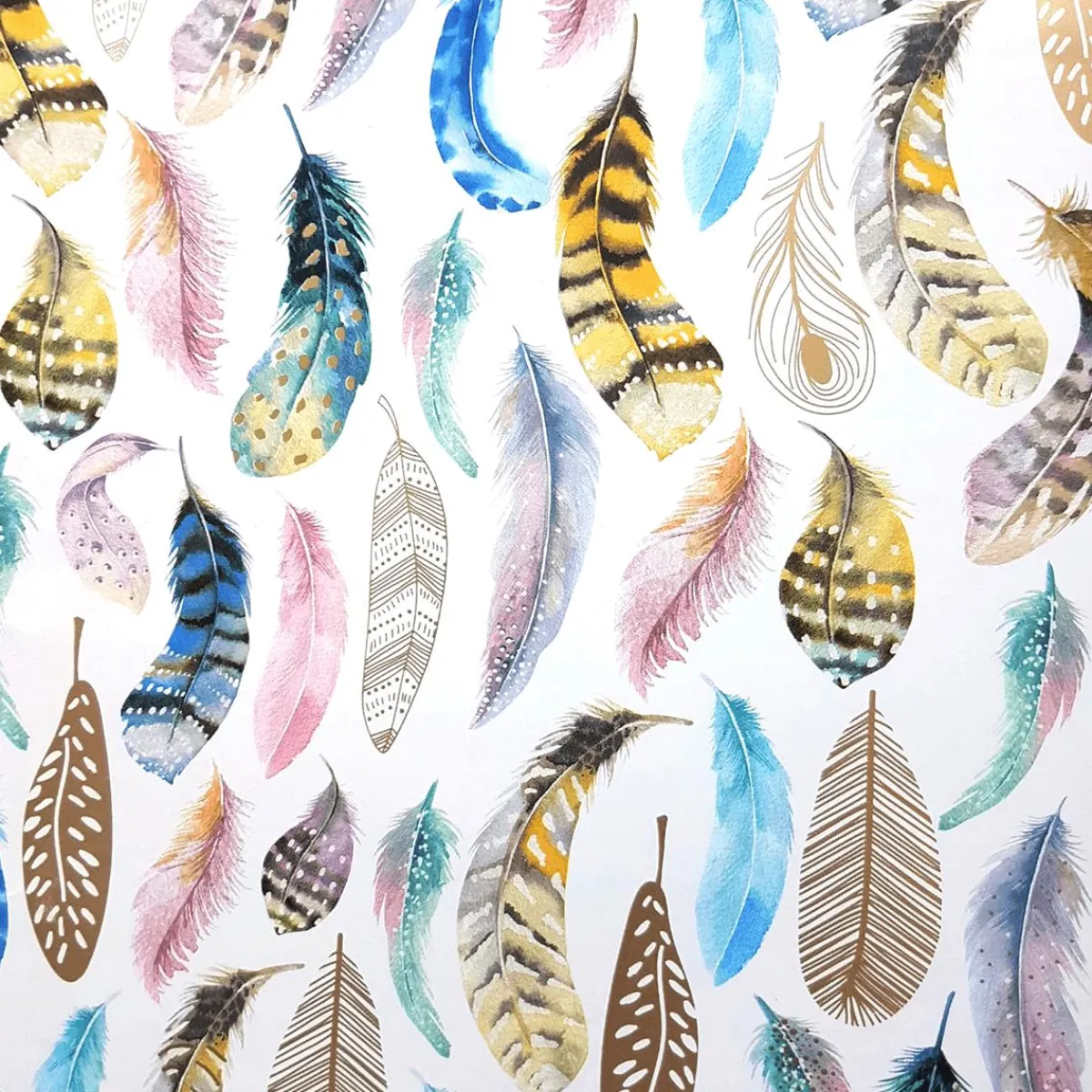 Papier Cadeau Blanc Durable Avec Plumes Colorées - Rouleau De 50 M De Papier Cadeau-DecoWoerner