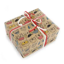 Papier Kraft Recyclé Avec Hiboux s - Rouleau De 50 M De Papier Cadeau-DecoWoerner Best
