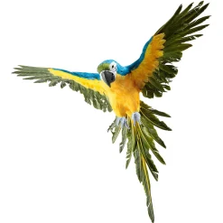 Perroquet Déco -jaune Long. 77 Cm-DecoWoerner Best