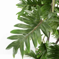 Philodendron éclaté En Pot Noir-DecoWoerner Best