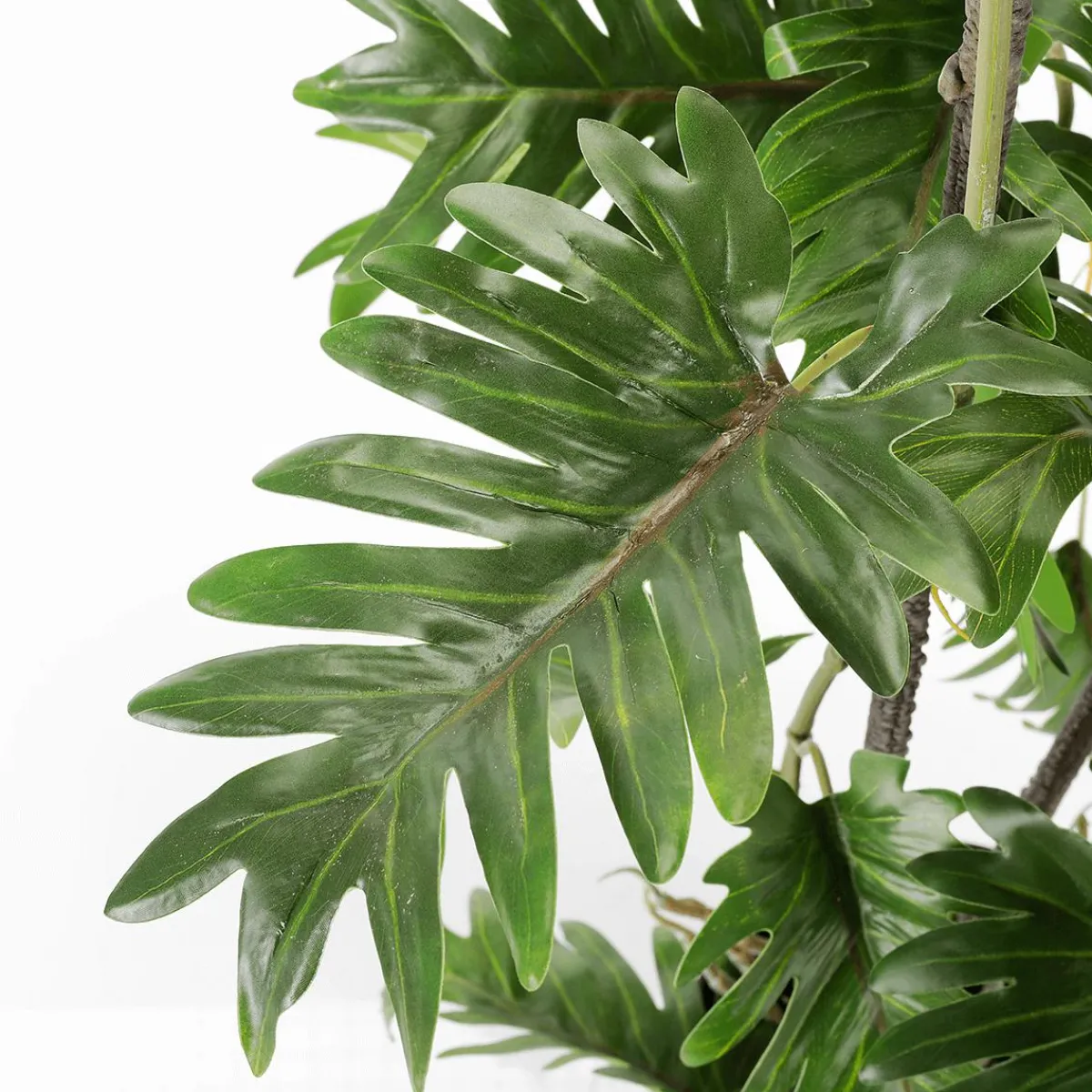 Philodendron éclaté En Pot Noir-DecoWoerner Best