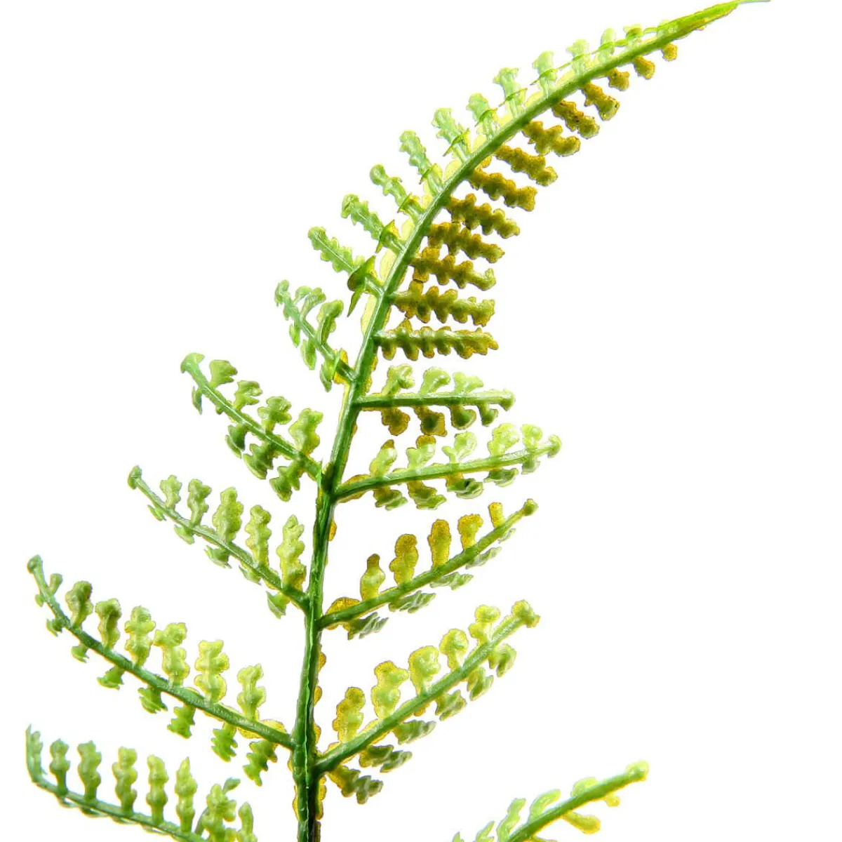 Pic De Fougère Artificielle Ø 30 Cm-DecoWoerner New