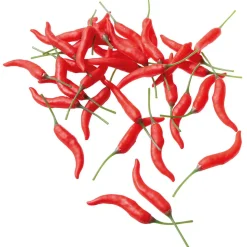 Piments Aliment Factice, 36 Pièces-DecoWoerner Outlet