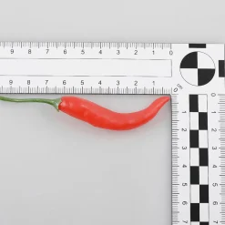 Piments Aliment Factice, 36 Pièces-DecoWoerner Outlet