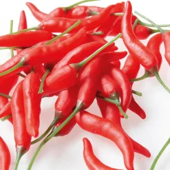 Piments Aliment Factice, 36 Pièces-DecoWoerner Outlet